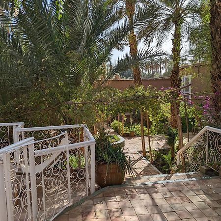 Villa Zagora Ma Villa Au Sahara ภายนอก รูปภาพ