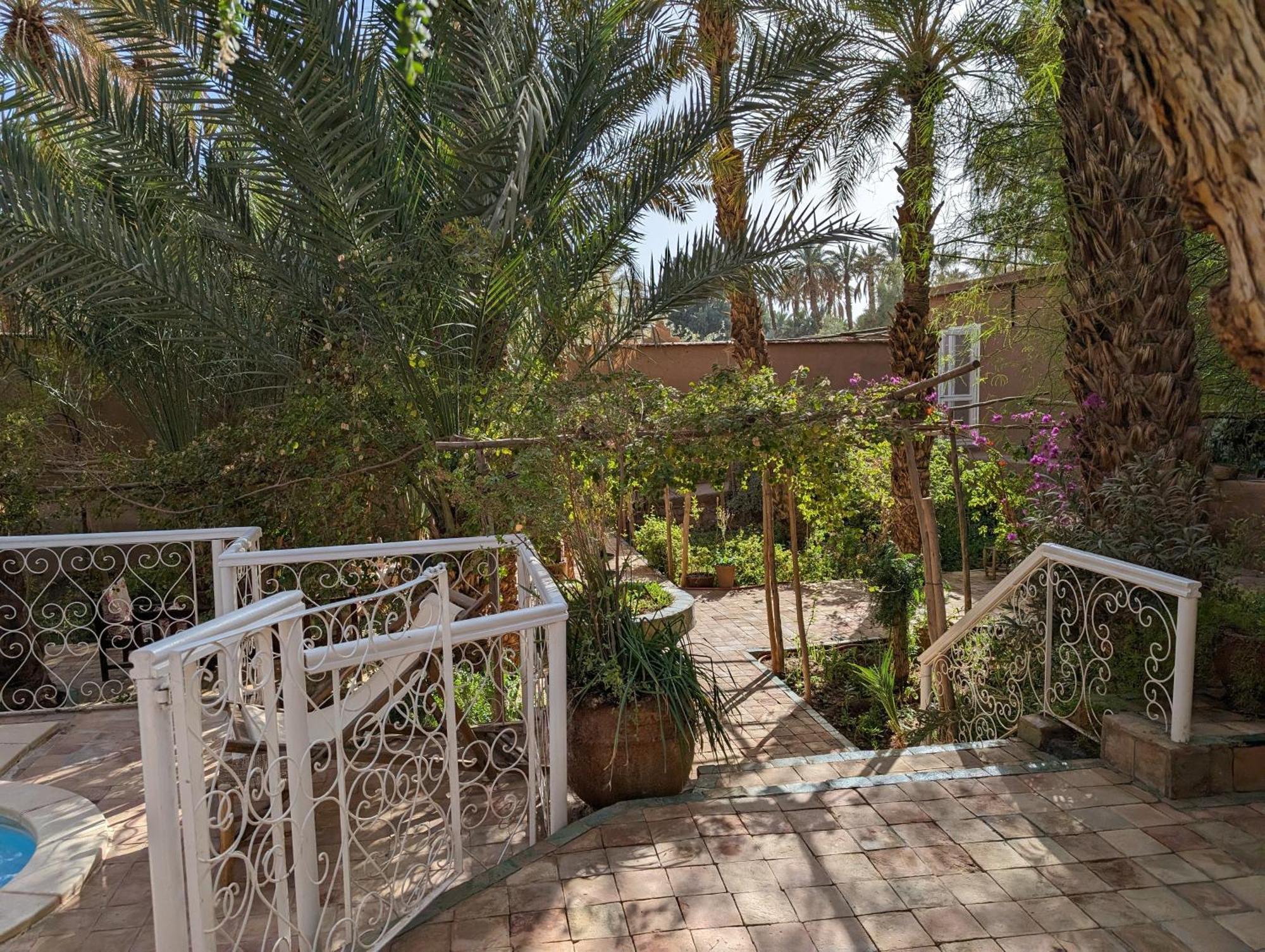 Villa Zagora Ma Villa Au Sahara ภายนอก รูปภาพ