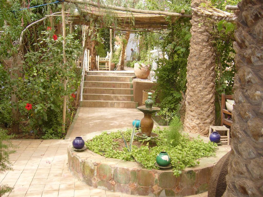 Villa Zagora Ma Villa Au Sahara ภายนอก รูปภาพ