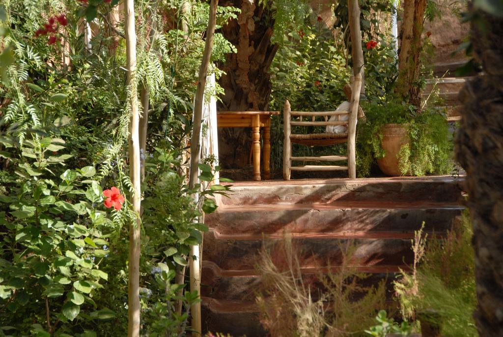 Villa Zagora Ma Villa Au Sahara ภายนอก รูปภาพ