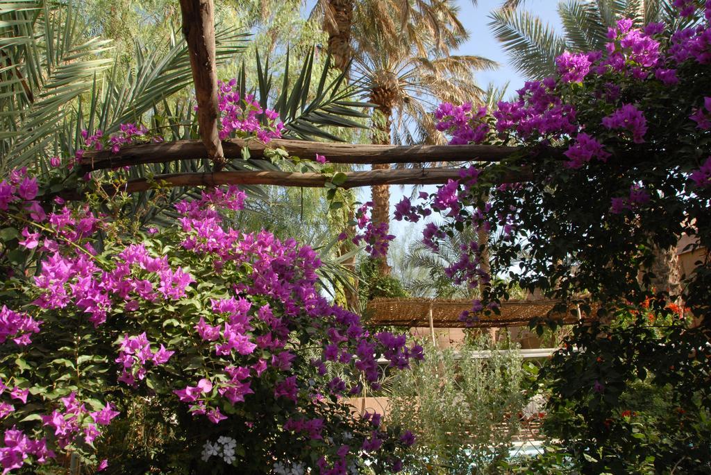 Villa Zagora Ma Villa Au Sahara ภายนอก รูปภาพ