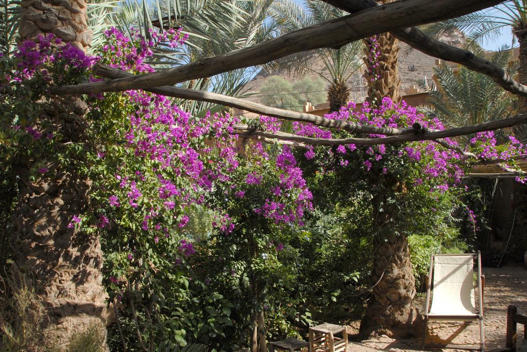 Villa Zagora Ma Villa Au Sahara ภายนอก รูปภาพ