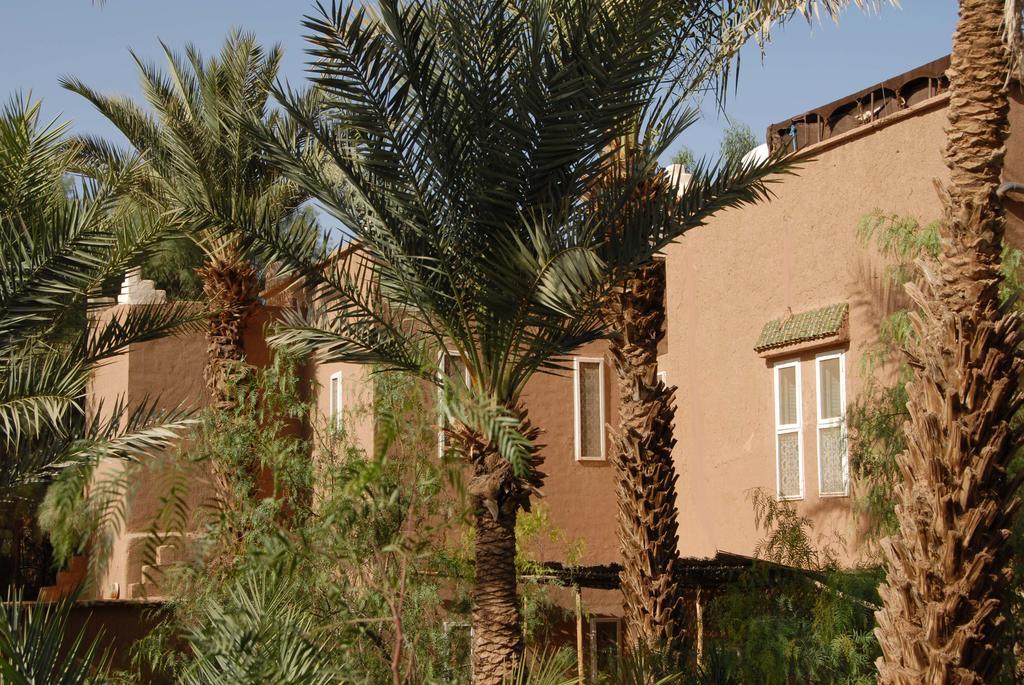 Villa Zagora Ma Villa Au Sahara ภายนอก รูปภาพ