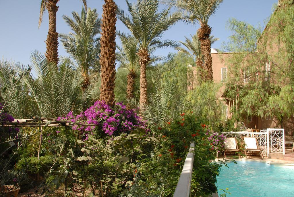 Villa Zagora Ma Villa Au Sahara ภายนอก รูปภาพ