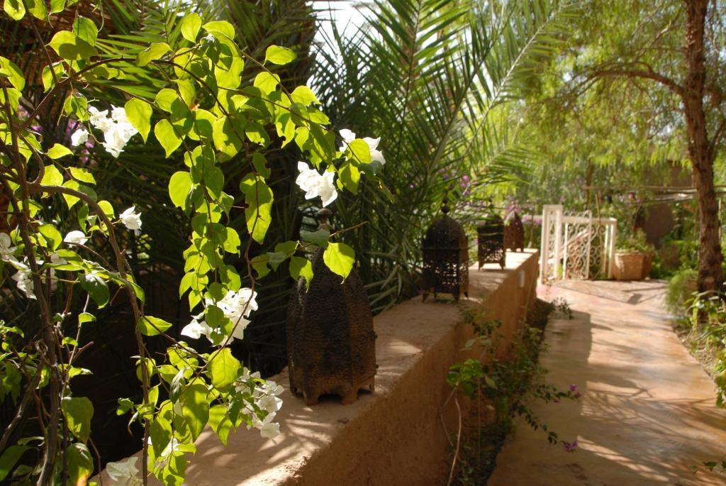 Villa Zagora Ma Villa Au Sahara ภายนอก รูปภาพ