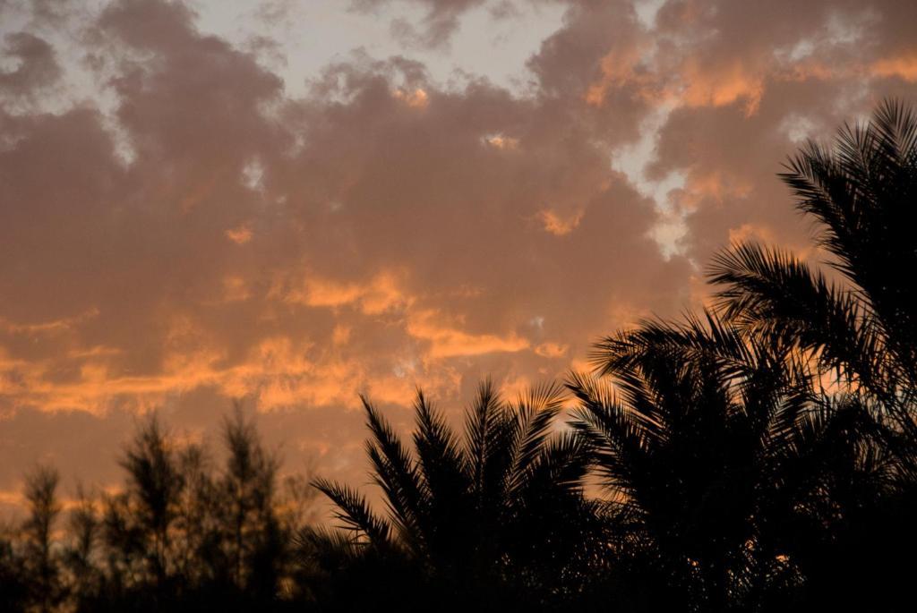 Villa Zagora Ma Villa Au Sahara ภายนอก รูปภาพ