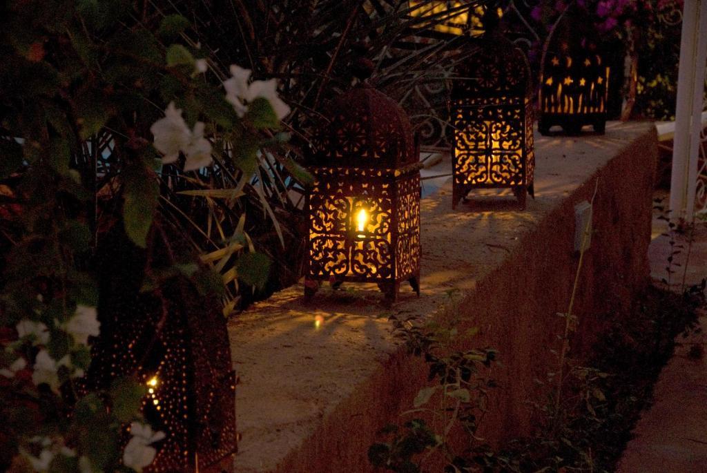 Villa Zagora Ma Villa Au Sahara ภายนอก รูปภาพ